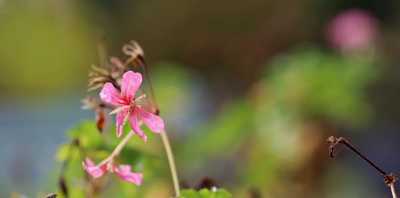 von der Seite angeschnackt ...