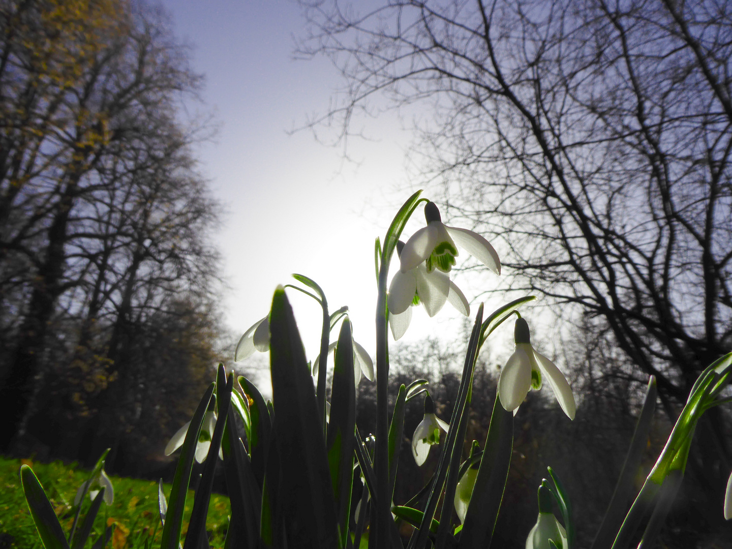 von der Sonne angestrahlt