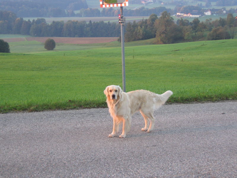 Von der Sonne berührt