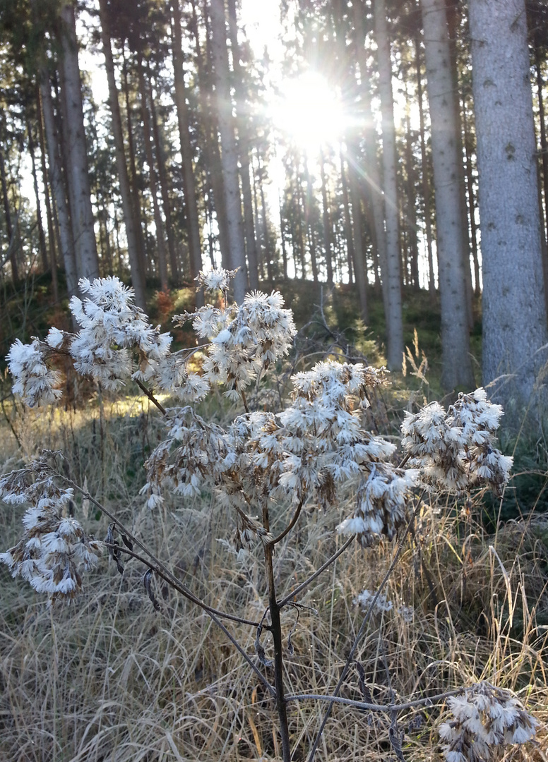 von der Sonne erwärmt