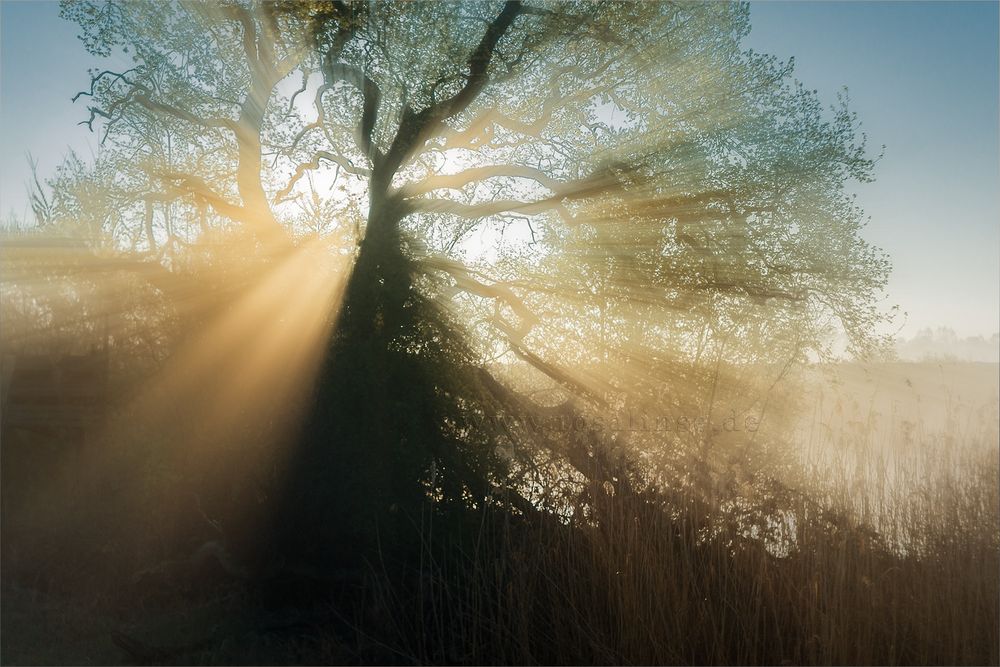 Von der Sonne erwischt