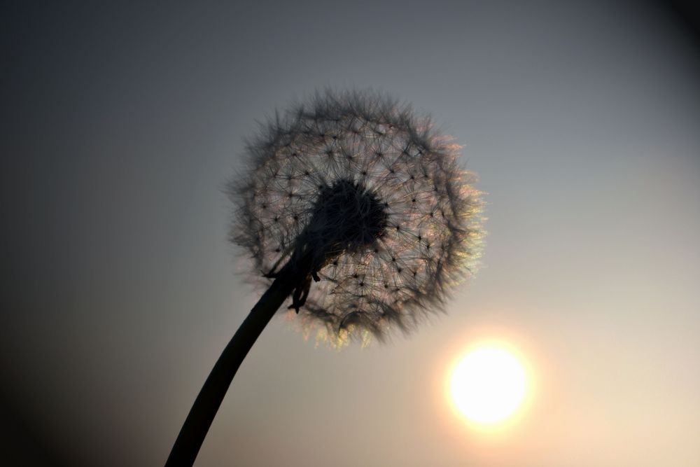 von der Sonne geküsst..