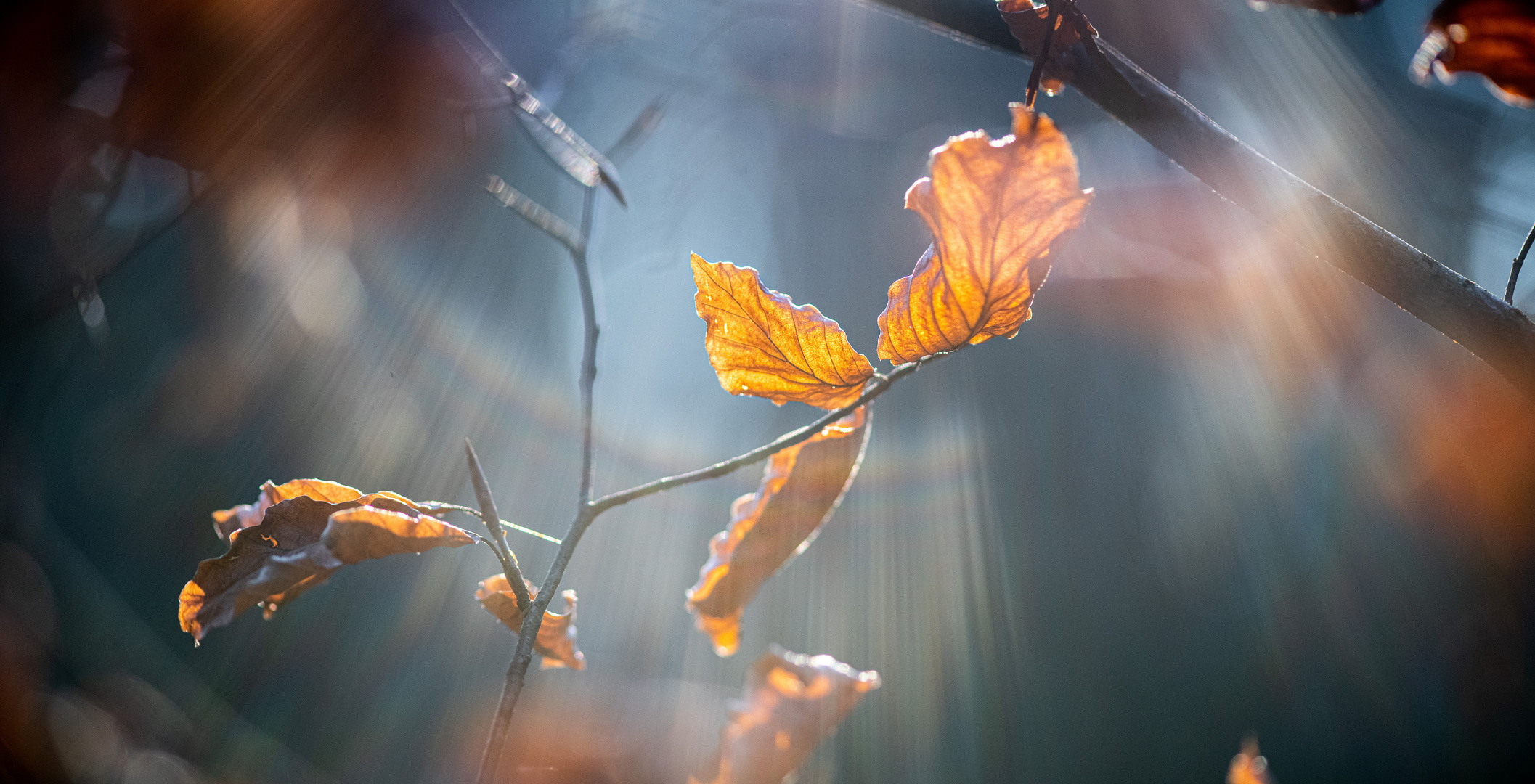 Von der Sonne geküsst