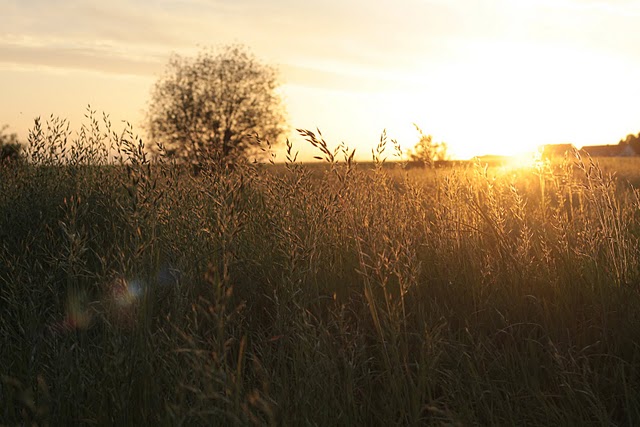 von der Sonne geküsst