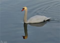 Von der Sonne geküsst ...