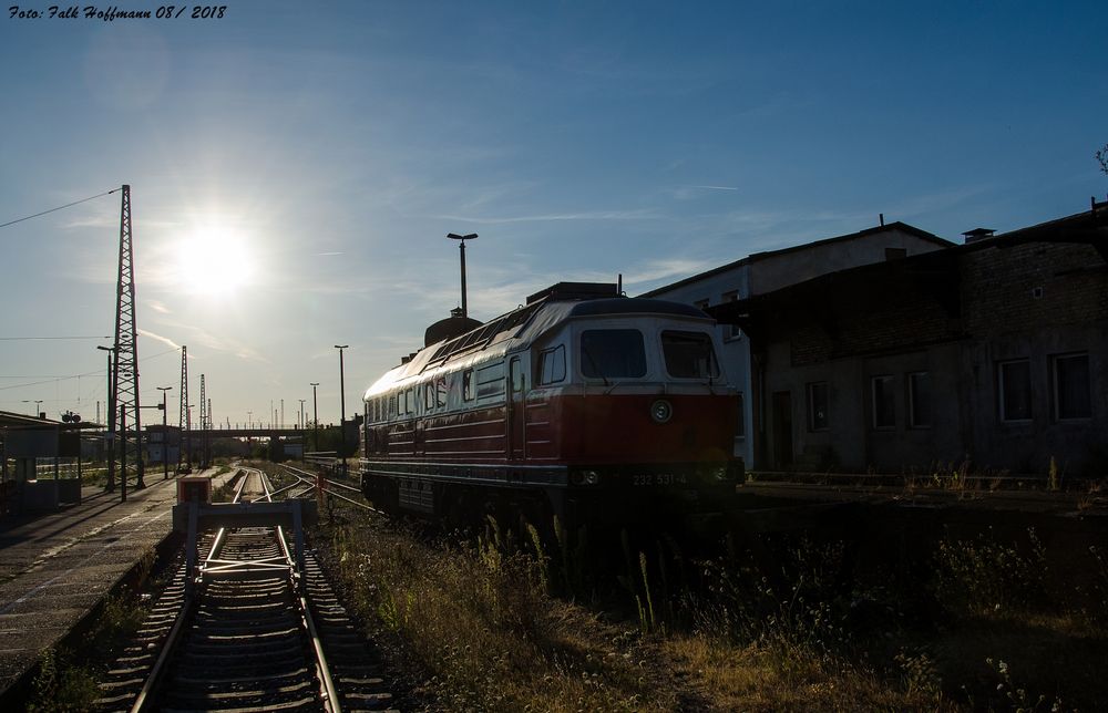 Von der Sonne geküßt