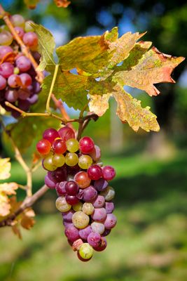 Von der Sonne geküsst...