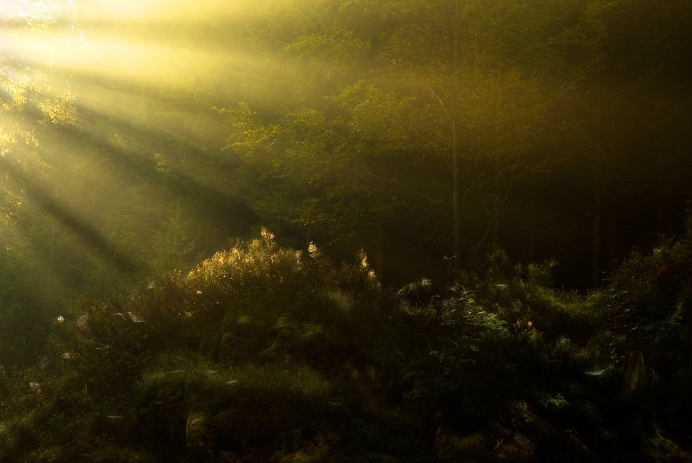 Von der Sonne gestreichelt