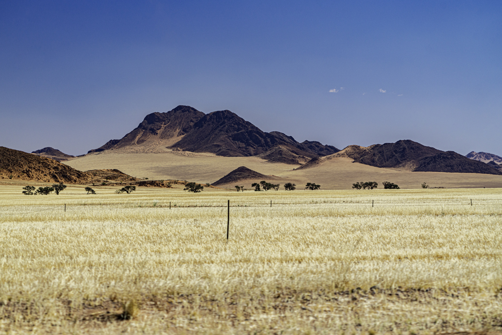 Von der Sonne verbrannte Erde und dürres Gras