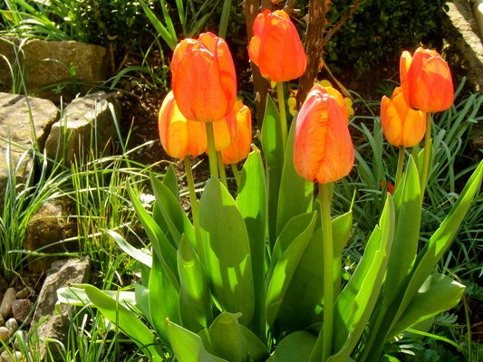 von der Sonne verwöhnt