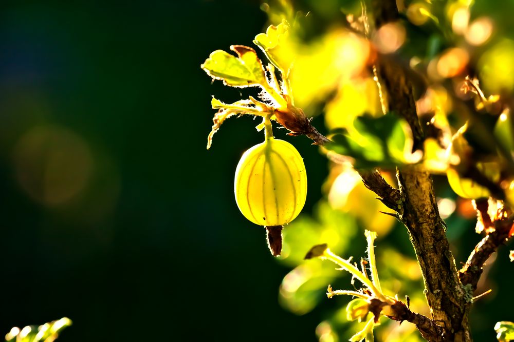 Von der Sonne verwöhnt