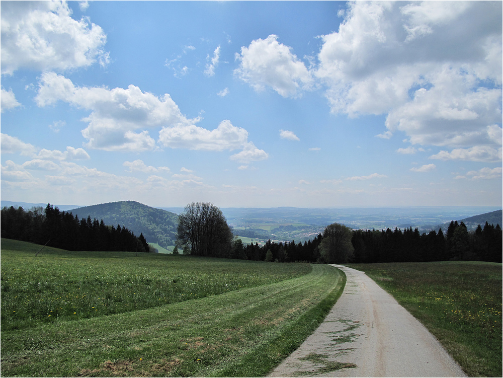 Von der Sonnenalm ins Tal