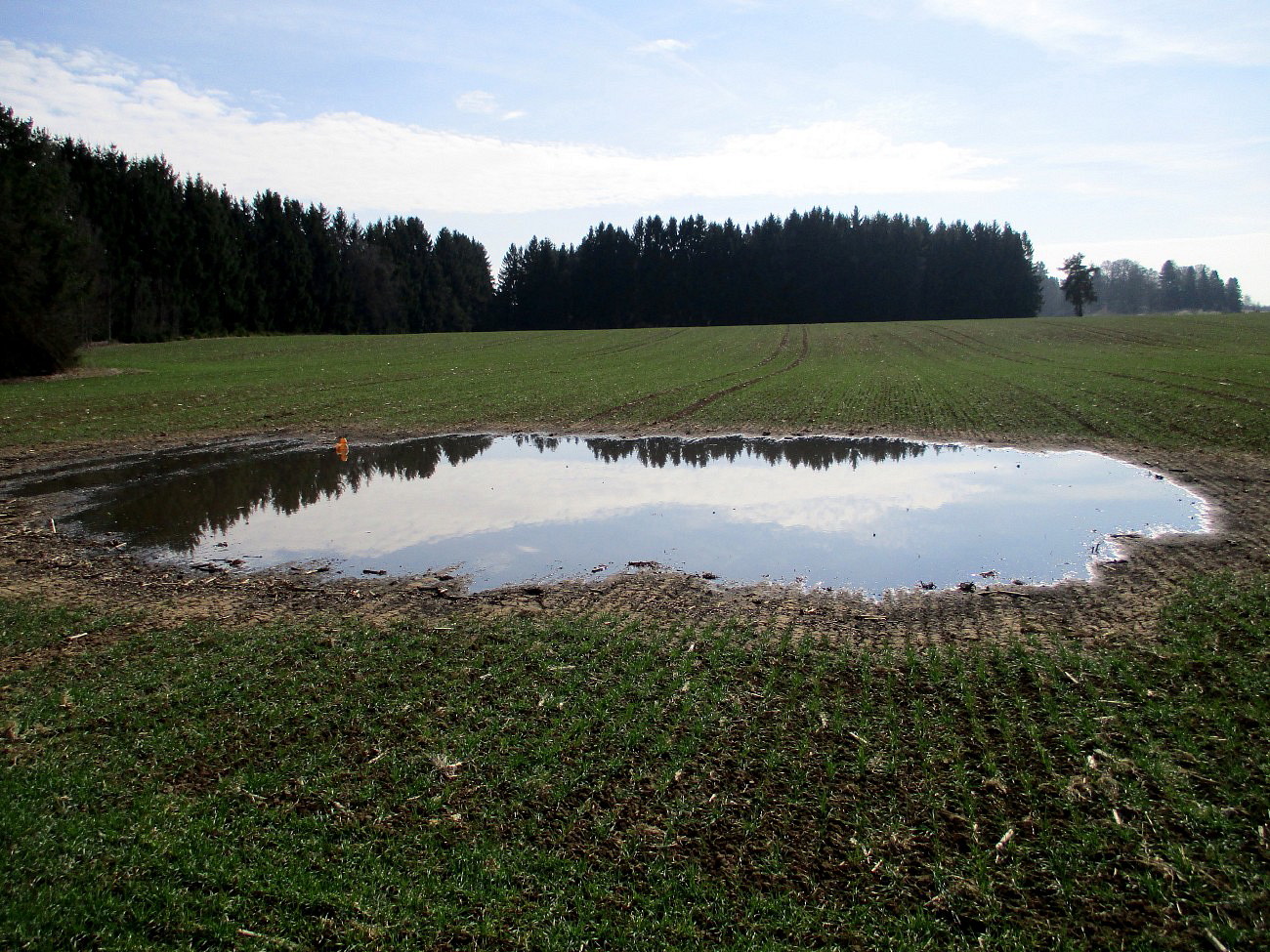 Von der Straße aus entdeckt