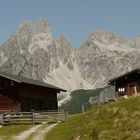 Von der Sulzenalm (Filzmoos) der Blick zur Bischofsmütze 