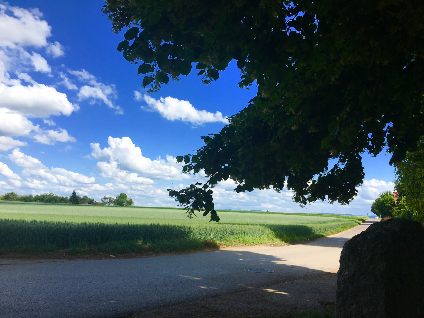 von der Weite einer Landschaft auf den Fildern