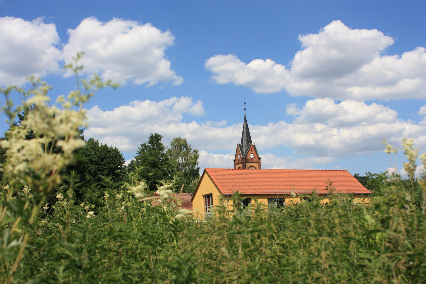 Von der Wiese auf den Kirchturm geschaut