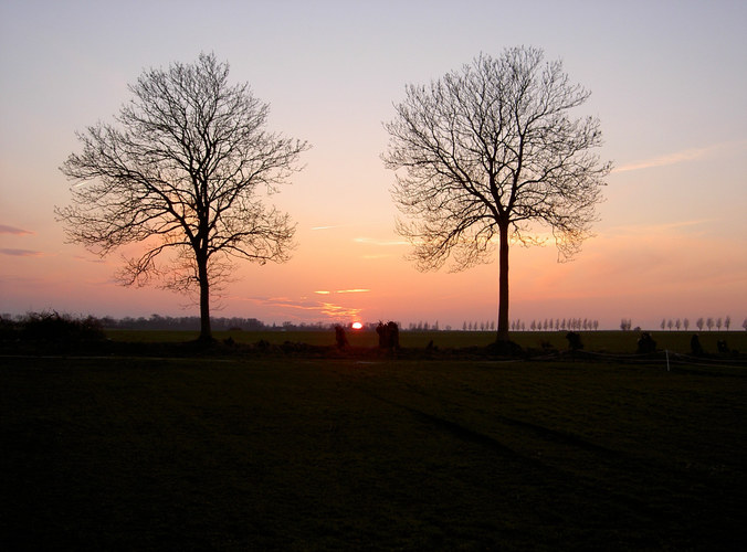 von der Wiese in die Stadt