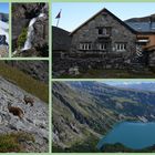 Von der Wildhornhütte zum Lac de Tseuzier