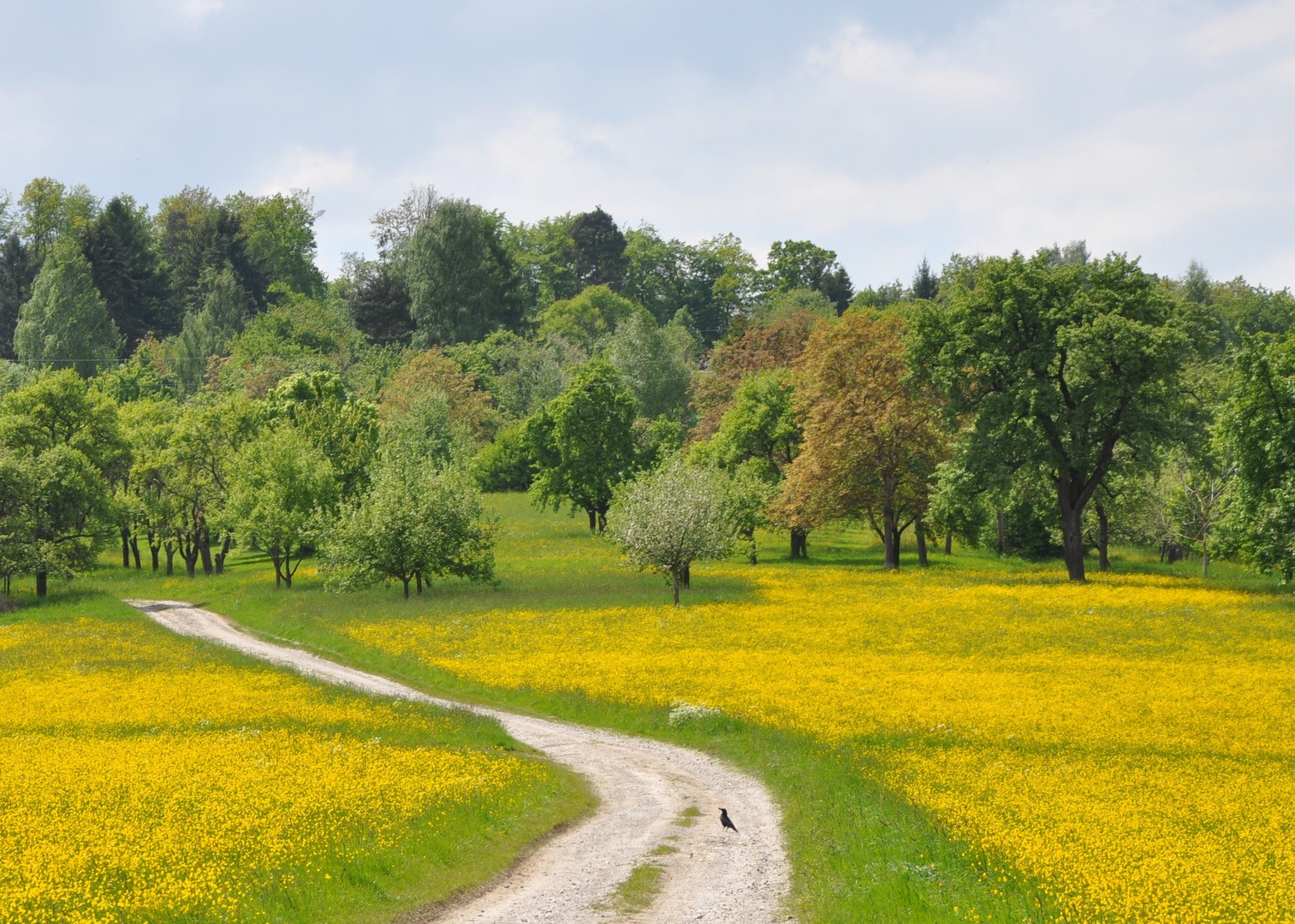 von Echterdingen