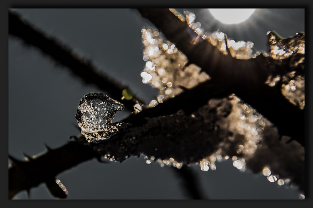 Von Eckläufern und schmelzenden Eiskristallen