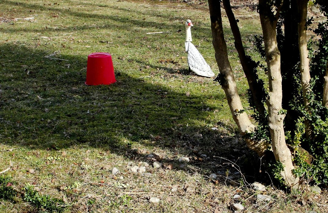 Von eindringenden Plastikeimern und Schwänen