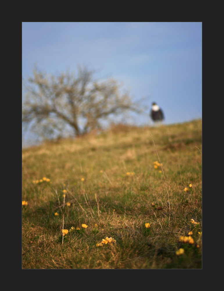 von einem, der auszog, den Frühling zu finden