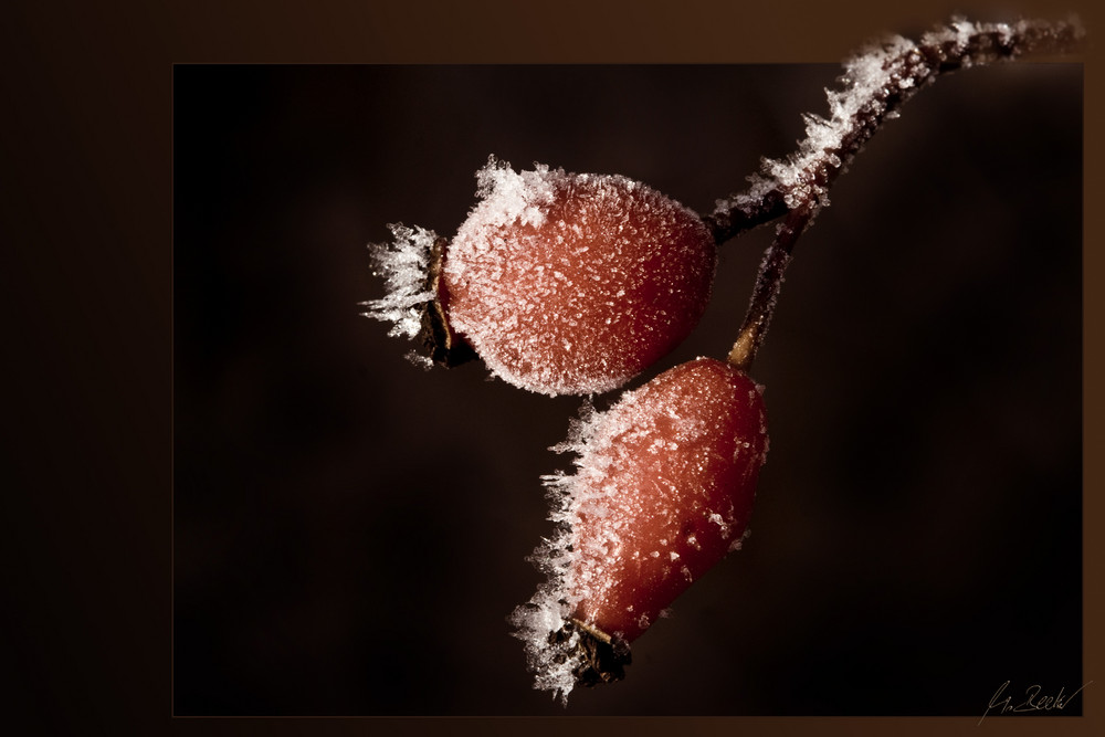 ...von Eis und Schnee haben wir nun wirklich genug!