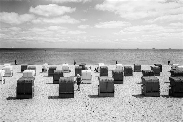 von entspannten föhrien .