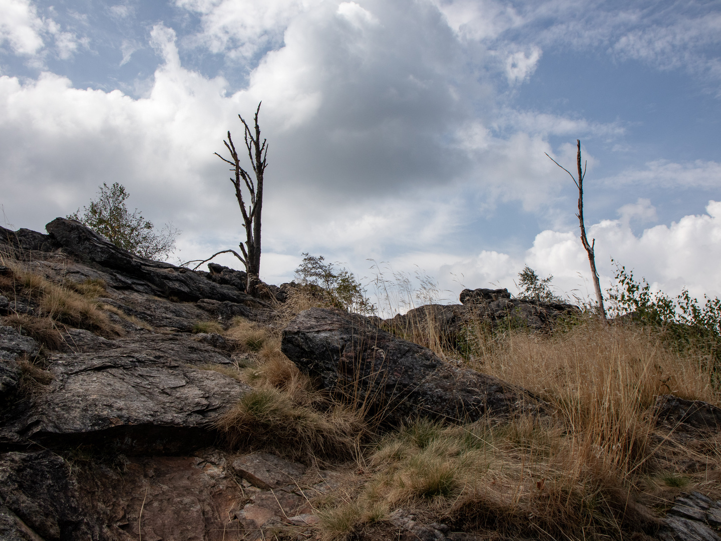 von Felsen, Wegen, Bäumen und Wolken