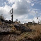 von Felsen, Wegen, Bäumen und Wolken