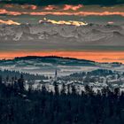 Von Finsterau über das Alpenvorland bis hin zu den Alpen - ein weiter Blick