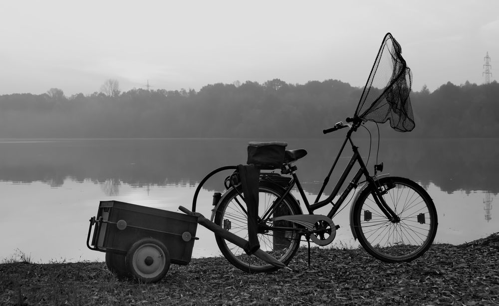 von fischen die sich angler holen