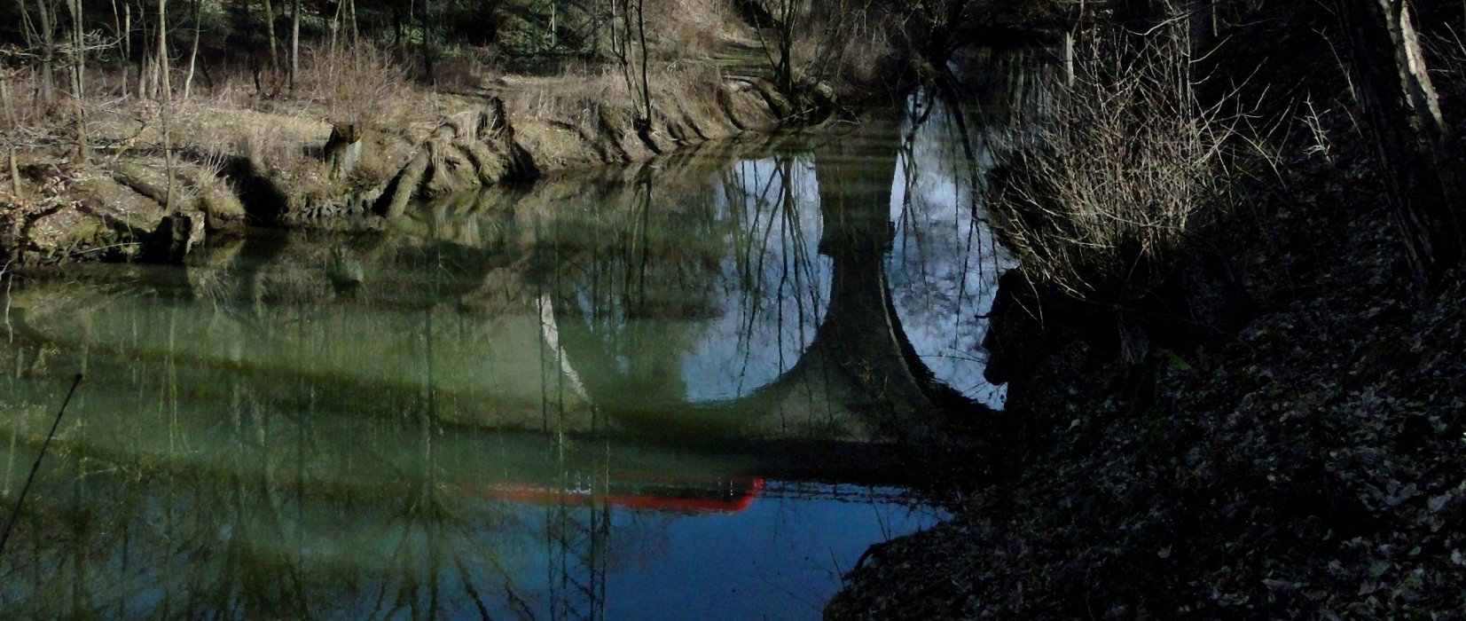 Von Flusshamstern und Fischottern