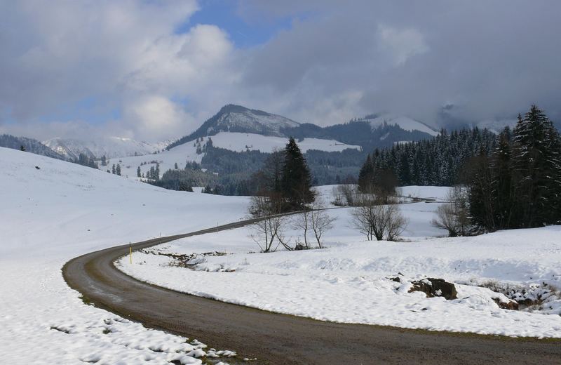 Von Frühling keine Spur !