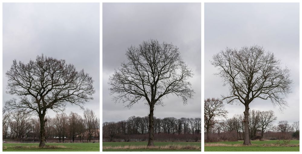 von Frühling noch keine Spur