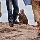 von füßen, schuhen und affen , am geisterberg, burma 2011