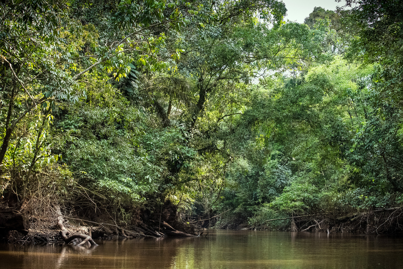 Von Galapagos an den Amazonas