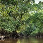 Von Galapagos an den Amazonas