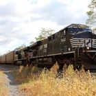 Von GE ES44DC NS#7642 angeführter Güterzug mit Enclosed Auto Carrier Cars nahe Gallitzin Tunnel