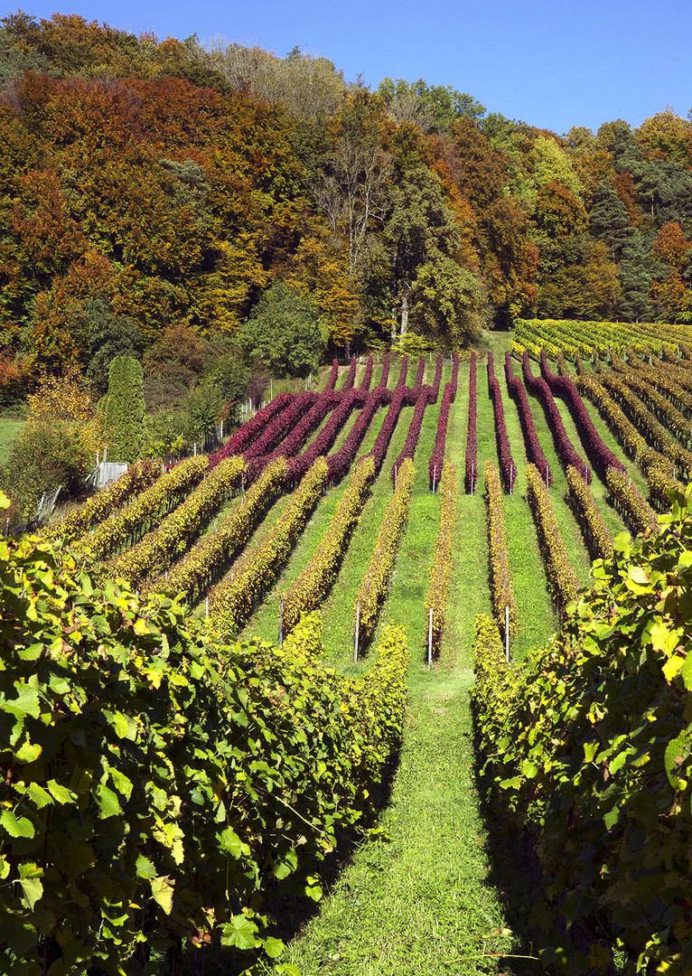 Von Grün bis Herbstfarben