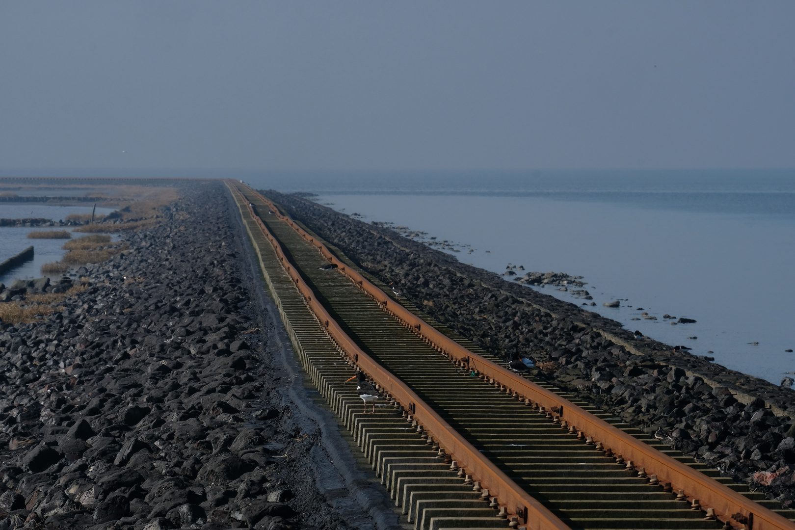 Von Hallig zu Hallig auf der Schiene