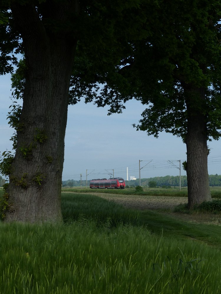 Von Hamstern im Hamsterrad