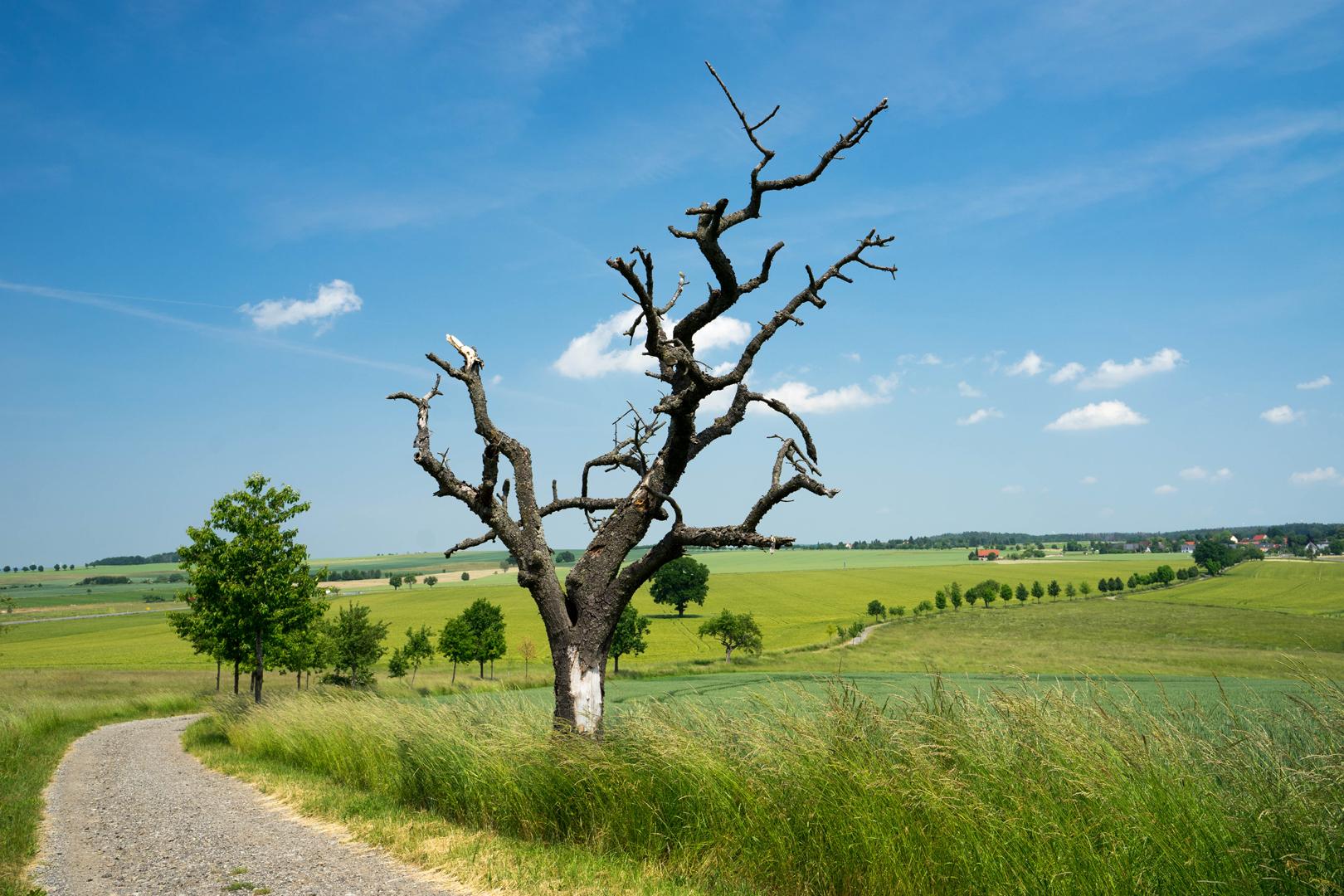 Von Heeselicht nach Hohburkersdorf