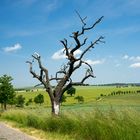 Von Heeselicht nach Hohburkersdorf