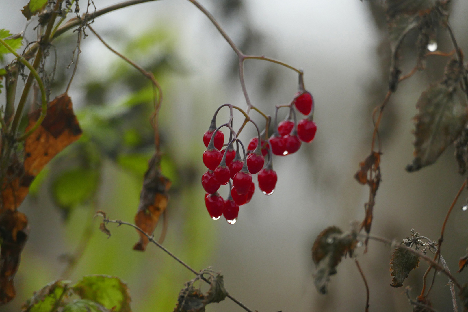 Von Herbst zu Winter