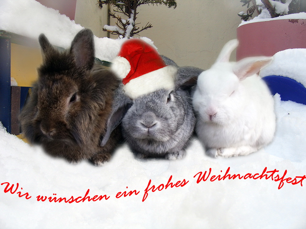 Von Herzen ein frohes Weihnachtsfest!