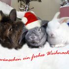 Von Herzen ein frohes Weihnachtsfest!