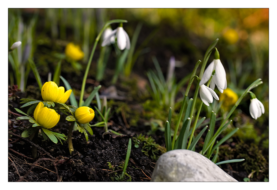 von heute... 24.02.2009