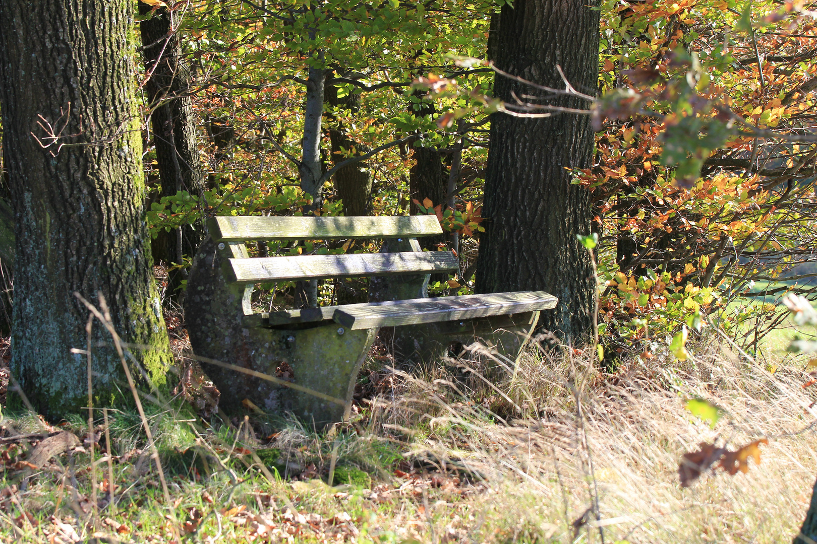 Von hier den Blick ins Tal genießen