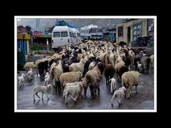 Von Keylang nach Manali 01